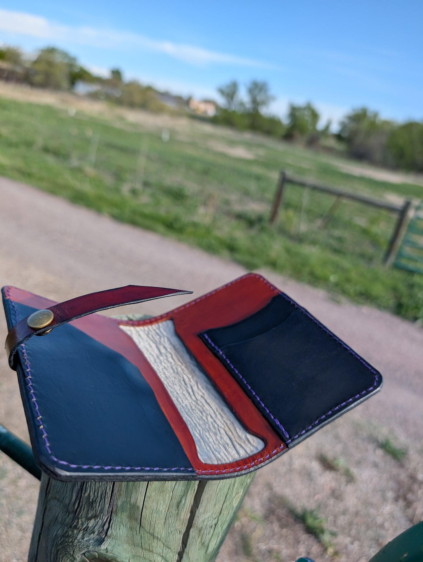 Passport wallet
